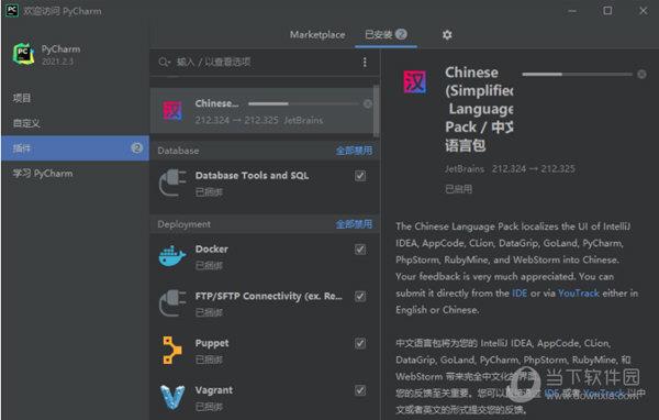JetBrains中文语言包插件 V2021.2.x 最新免费版
