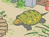旅行青蛙乌龟喜欢吃什么 旅行青蛙乌龟喂养攻略