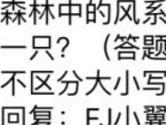 全民飞机大战森林中的风系皇冠精灵小宠物是哪一只