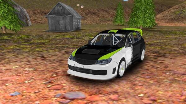 拉力赛车模拟器3D3