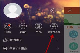 平安金管家客户经理查看方法