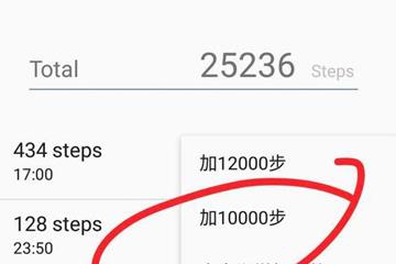 支付宝运动步数3