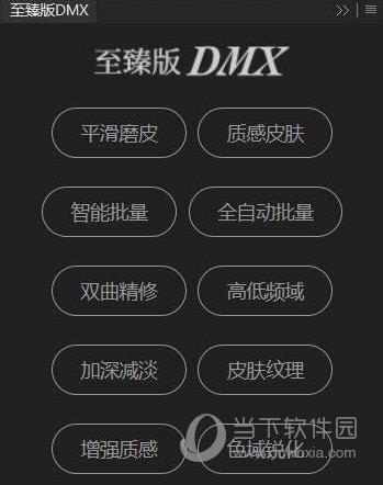 至臻版dmx磨皮插件 V2020 免费版