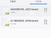 手机迅雷怎么下载磁力链接 手机迅雷磁力链接下载资源方法