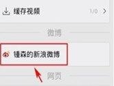 新浪微博视频怎么下载 魔力播放器来帮忙