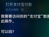 iPhone怎么设置支付宝语音付款 支付宝语音付款方法