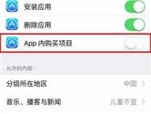 iPhone怎么关闭APP内购买 iPhone关闭APP内购买项目方法