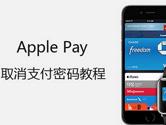 Apple Pay小额免密怎么设置 小额免密支付设置方法