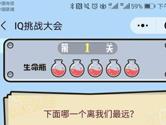 微信IQ挑战大会全关卡答案大全 所有关卡通关攻略