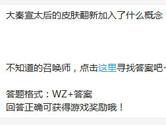 王者荣耀大秦宣太后的皮肤翻新加入了什么概念？