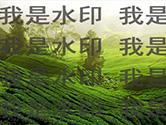 PS怎么在图片上加logo 简单几步搞定