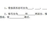 Word怎么做填空题下划线 教你一招批量搞定