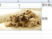 Excel图片随着单元格变化设置方法 自动大小了解下