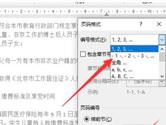 Word2019怎么设置页码从某页开始