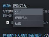 Steam怎么将库存隐私设置成公开 两个步骤即可