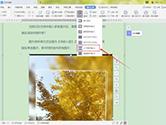 wps2019怎么设置图片环绕 设置方法介绍