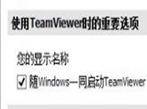 TeamViewer怎么设置开机启动 TeamViewer开机自启设置方法