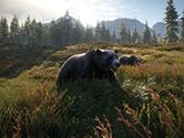 《猎人：野性的呼唤》同时拍摄两只熊的任务技巧分享