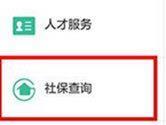 支付宝怎么查社保缴费记录 看完你就懂了