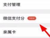 微信支付分怎么查看 支付信用的体现