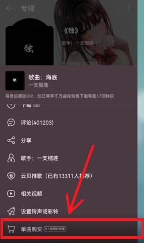 网易云音乐专辑单曲购买过程3