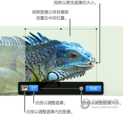 Numbers遮罩裁剪照片