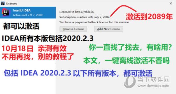 idea永久激活补丁 V2021.3 绿色免费版