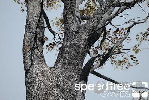 SpeedTree8.0汉化版