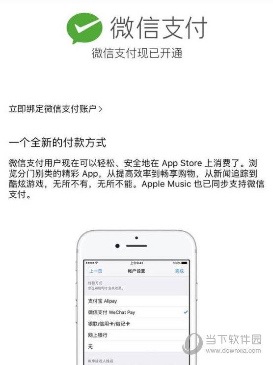 App Store微信支付