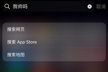 提供网页、App Store、地图等其他搜索方式