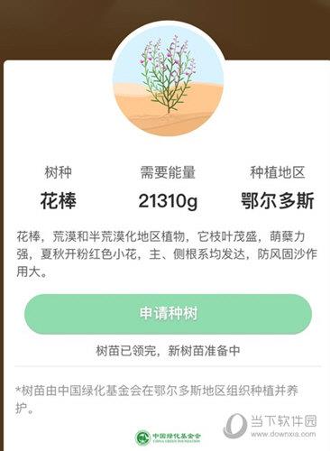 支付宝蚂蚁森林花棒推出时间