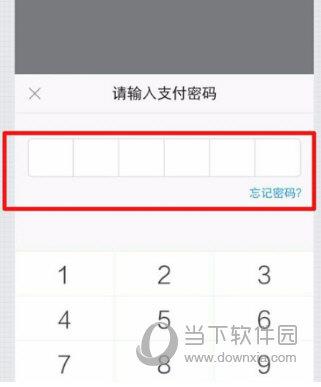 输入支付密码