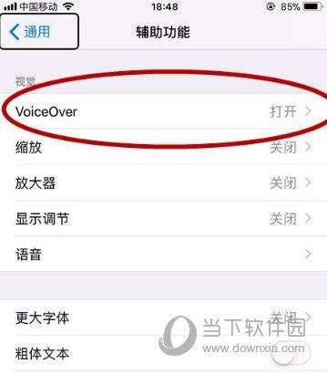 iPhone辅助功能