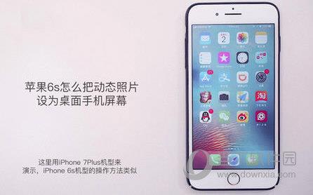 iPhone设置桌面壁纸