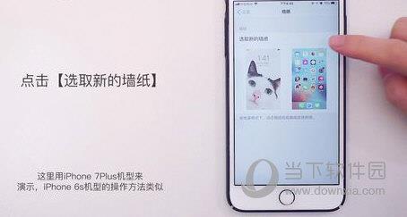 iPhone设置桌面壁纸图3