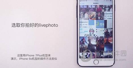 iPhone设置桌面壁纸图4