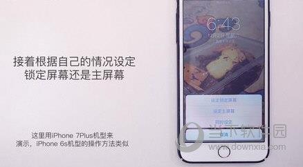 iPhone设置桌面壁纸图6