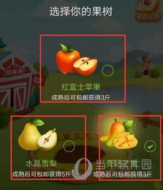 拼多多果园选择果树