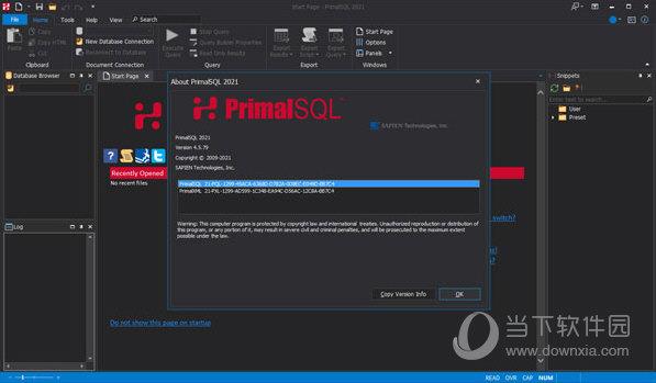 PrimalSQL 2021破解版(数据库查询工具) V4.5.79 绿色免费版