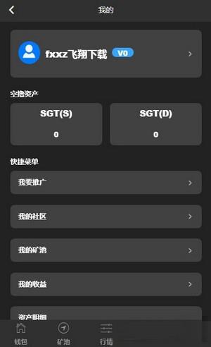 SGT奇点