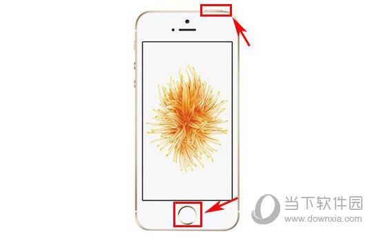 iPhoneSE怎么强制关机