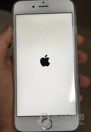 iPhone白苹果