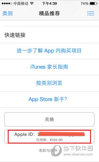 App Store余额查询页面