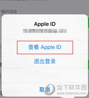 苹果手机查看ID