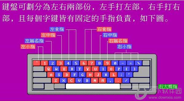 八哥五笔打字员