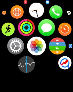 Apple Watch 的主屏应用