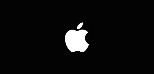 屏幕上出现白色的苹果 Logo 图标