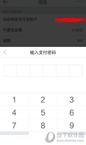 点击确定体现,之后输入支付密码,金额转到支付帐户中