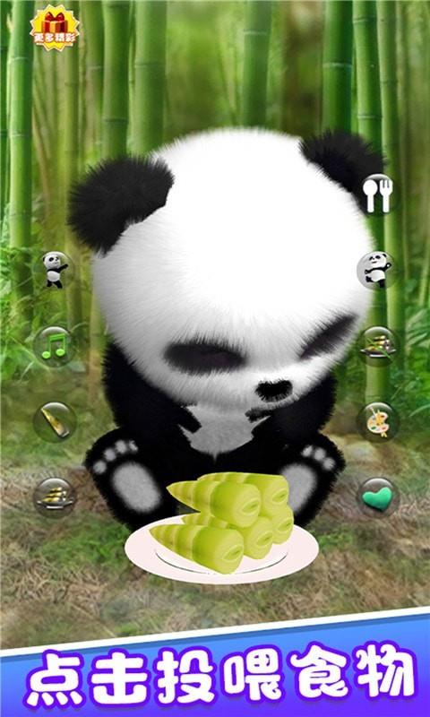 宠物熊猫模拟器4