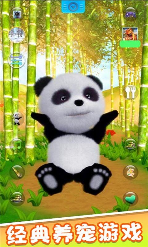 宠物熊猫模拟器1